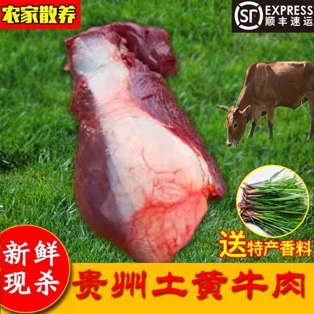 贵州放养黄牛肉牛里脊正宗农家黄牛肉现杀新鲜黄牛里脊新鲜生牛肉