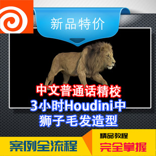 冲钻中文教程电影高级进阶3小时Houdini中的狮子毛发造型