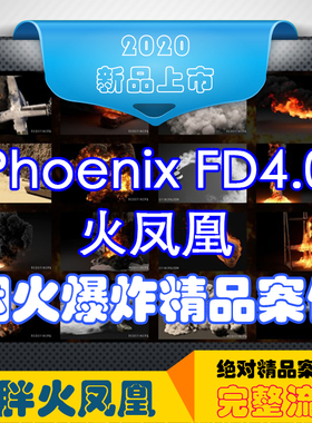 冲钻特价火焰烟雾3dmax火凤凰Phoenixfd插件教程烟雾中文字幕必学