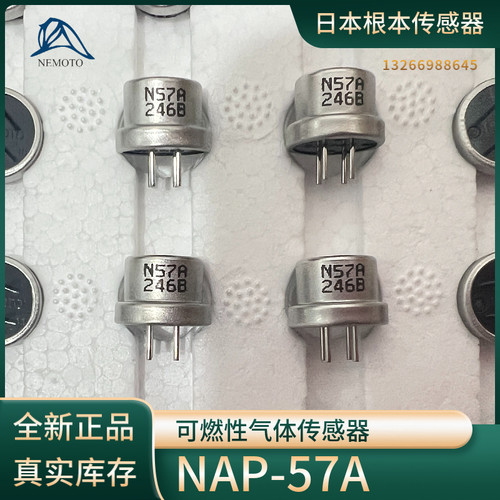 根本催化燃烧式NAP-57A