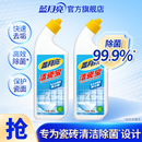 蓝月亮洁瓷宝500g 瓷砖清洁剂强力去污去黄 2瓶 地板瓷砖清洗剂
