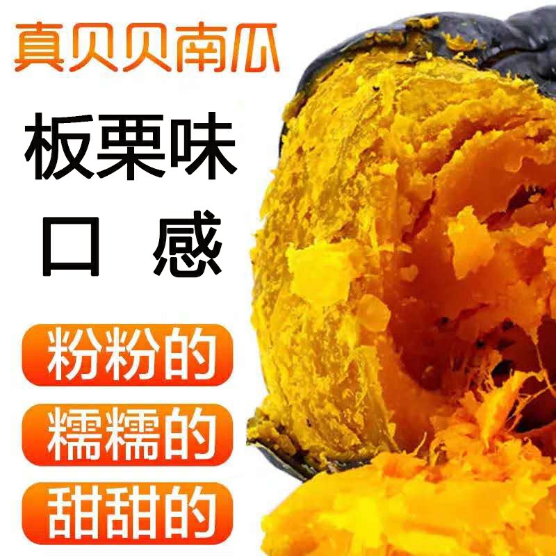 真贝贝南瓜板栗味甜面宝贝辅食当季新鲜老瓜正品助农产品包邮