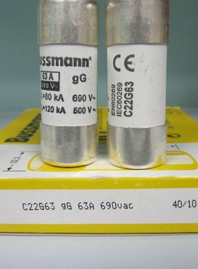 进口熔断器 C22G8 C22G10 C22G12 C22G16 C22G20 C22G25 C22G40