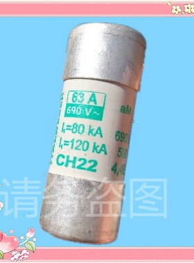 ITALWEBERWEBER(韦伯)保险丝 1442080  CH22 80A 500V aM 22X58