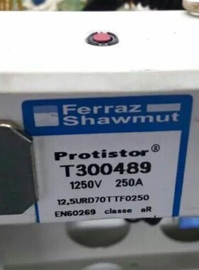 熔断器 Z300494  A300495 B300496 C300497 D300498 E300499