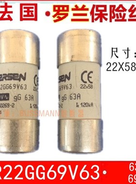 FERRAZ SHAWMUT保险管 E218205 100A/500V FR22GG50V100  22x58