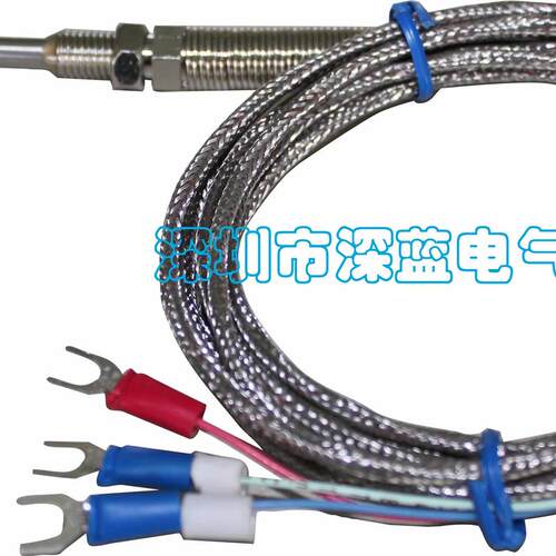 温度探头 PT100 针形铠装热电阻 WZPK-191 管长50mm 引线长2米