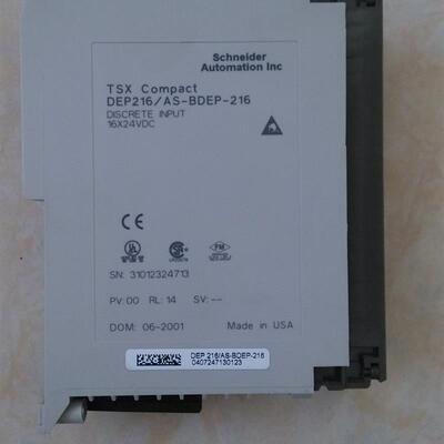 * DEP216/AS-BDEP-216 DAP208/AS-BDAP-208  Modicon