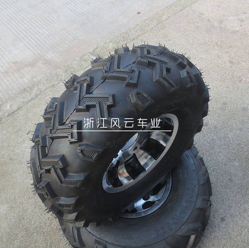 卡丁车配件  农夫车沙滩车10寸W花纹前轮胎带铝合金轮毂 22X8-10