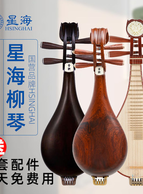 北京星海柳琴专业考级演奏初学练习双音柳琴乐器红木微调柳琴