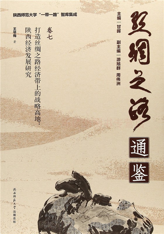 丝绸之路通鉴卷七:打造丝绸之路经济带上的战略高地：陕西经济发展研究 王琴梅 新型城镇化建设 陕西师范大学出版社