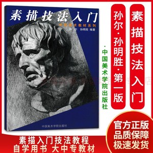 素描技法入门 孙尔,孙明胜 素描技法从入门到精通 人物素描技法 石膏头像素描书 几何体临摹范本 素描基础教程 中国美术学院教材