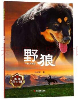 野狼（影像青少版） 许廷旺 浙江摄影出版社