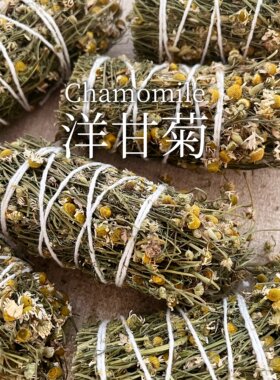 洋甘菊Chamomile天然植物香薰草杖净化空间燃熏烘烤冥疗愈想助眠