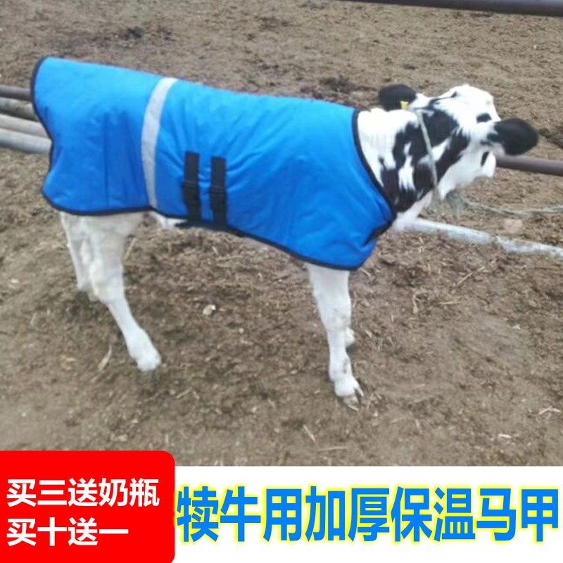 加绒加厚犊牛马甲犊牛外套牛犊保暖外套小牛外衣保暖犊牛防寒外套