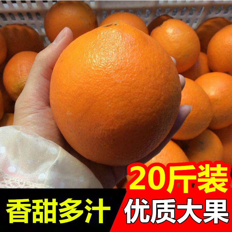 【热卖Top】赣南脐橙大果包甜