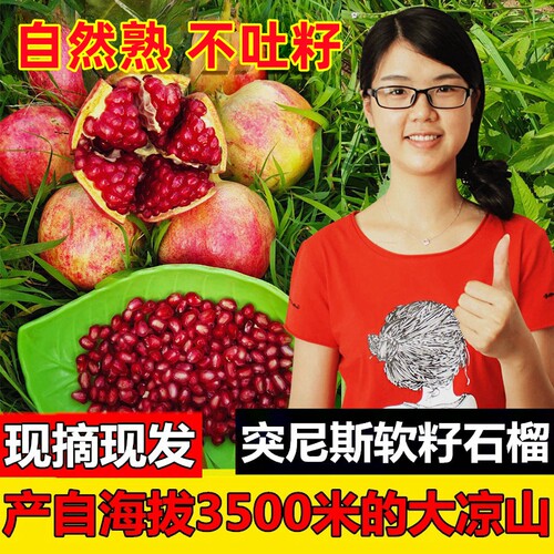 会理突尼斯软籽石榴新鲜应季水果四川甜石榴大果当季包邮现摘礼盒