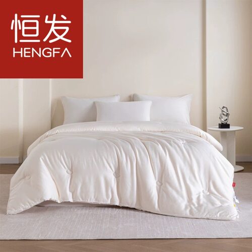 恒发家纺 7A抗菌大豆被加厚保暖被芯200x230cm被子双人家用棉被