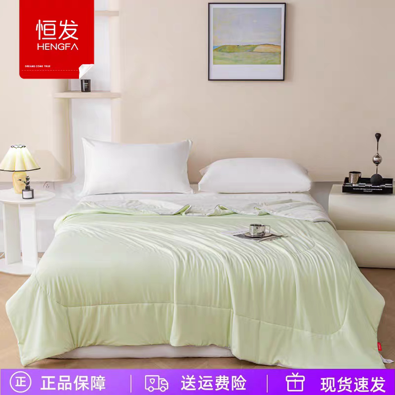 恒发 可水洗两用懒人大豆被200x230cm夏季空调被夏凉被芯凉感被子