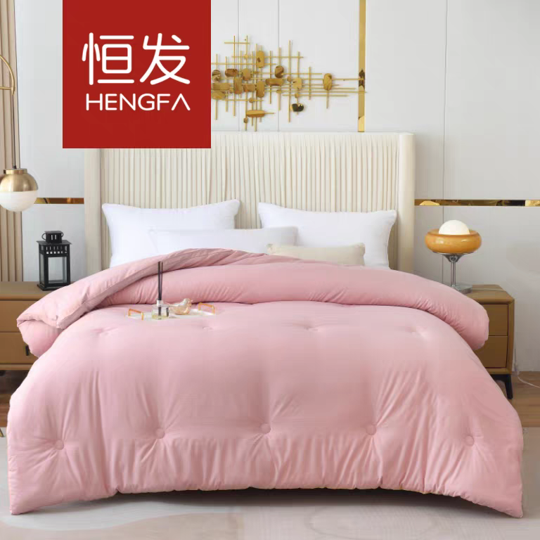恒发家纺 睡眠芯体验暖冬被200x230cm双人冬季棉被子加厚保暖冬被
