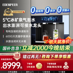 宜盾普W6嵌入式 直饮机冰矿泉气泡水家庭净饮机净水器可接水龙头