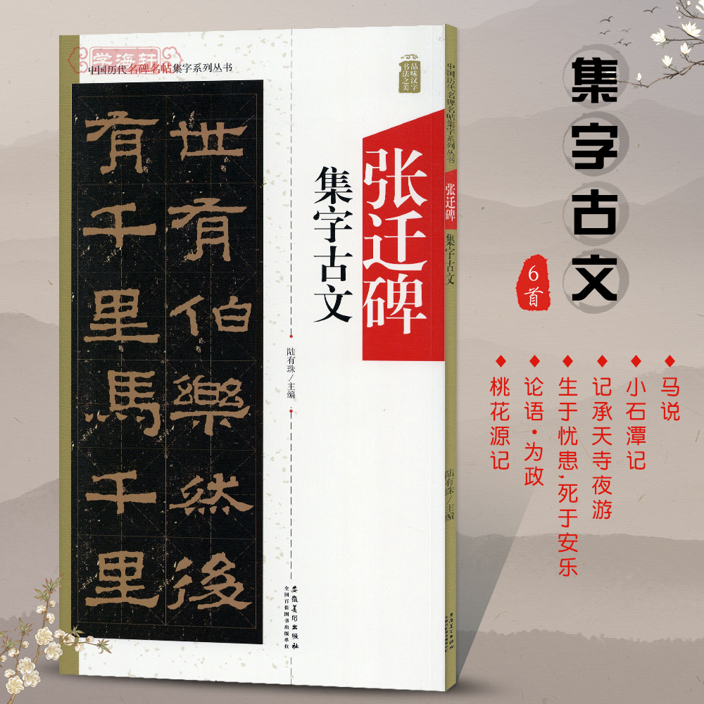 张迁碑集字古文中国历代名碑名帖集字系列陆有珠汉隶书毛笔字帖书法临摹碑帖米字格小石潭记桃花源记安徽美术出版社