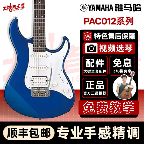 新手入门电吉他大树音乐屋