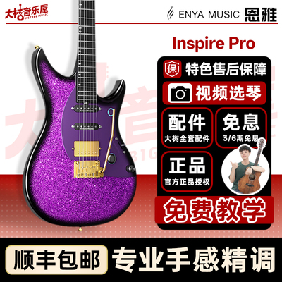 大树音乐屋恩雅inspirePro吉他
