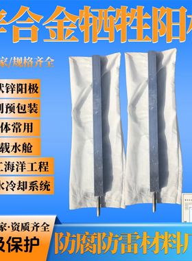 储罐防腐蚀锌阳极块 预包装带线双锌接地电池 锌合金牺牲阳极