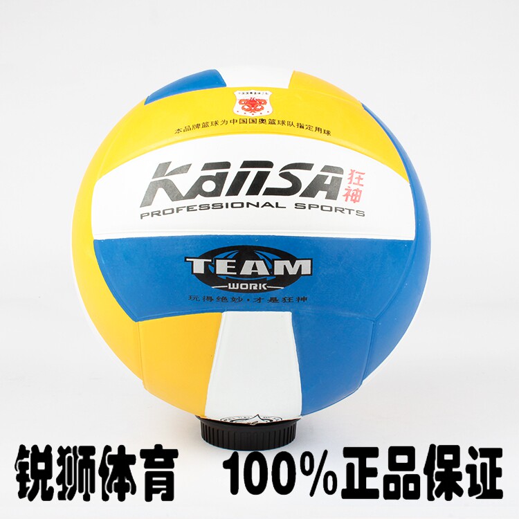 Ballon de volley-ball - Ref 2011827 Image 1
