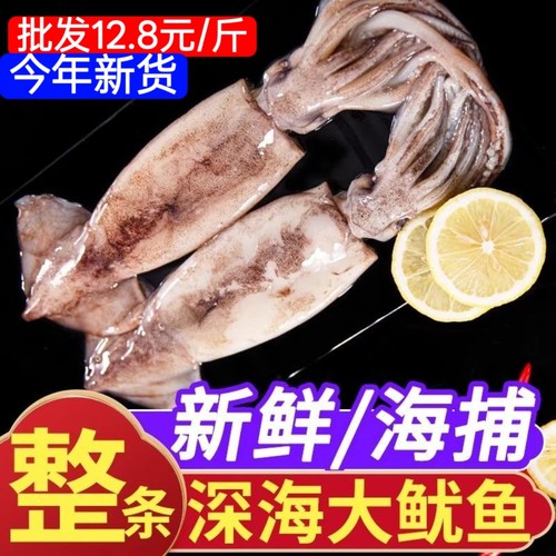 大鱿鱼十斤75包邮海鲜整条