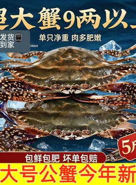 冻蟹梭子蟹净重7斤特大野生梭子蟹公蟹白蟹海鲜香辣蟹保鲜不包活