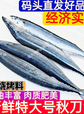 特大号秋刀鱼新鲜海捕秋刀鱼冷冻海秋刀烧烤食材批发海鱼海鲜美食