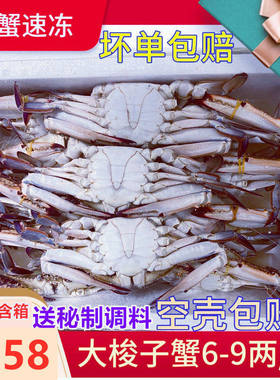 7斤大梭子蟹6-9两新鲜蟹速冻螃蟹大号梭子蟹海蟹青蟹白蟹飞蟹公蟹