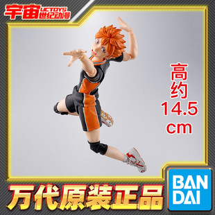 现货 万代 SHF 日向翔阳 排球少年 小排球 可动成品手办