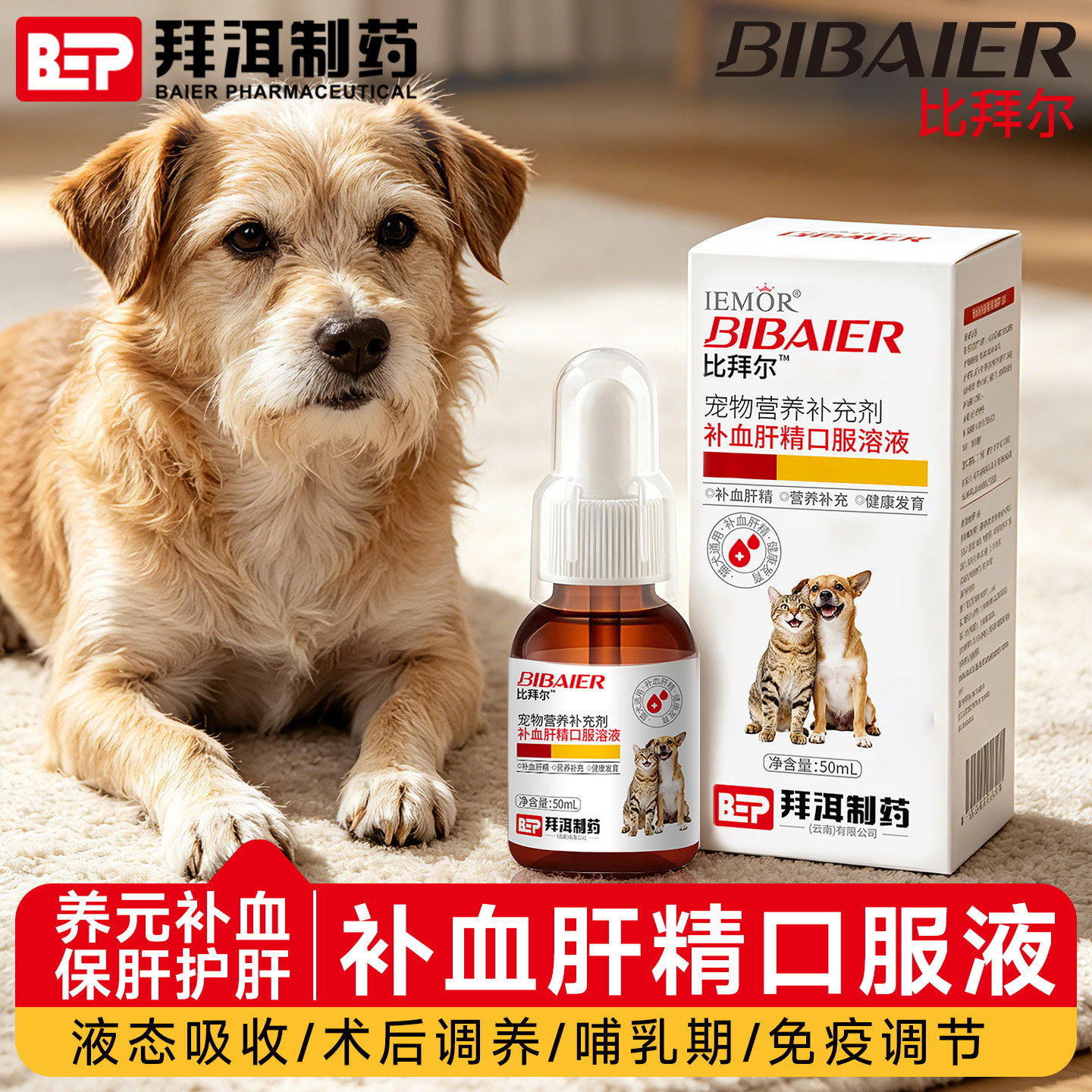 比拜尔宠物补血肝精口服液易吸收