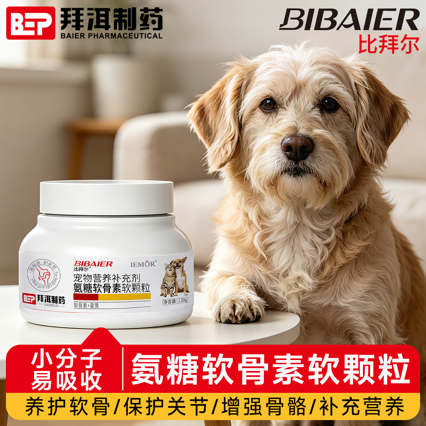 比拜尔氨糖软骨素软颗粒小分子