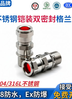 WYD 304/316不锈钢Exe防爆双密封铠装屏蔽电缆接头IP66格兰填料函