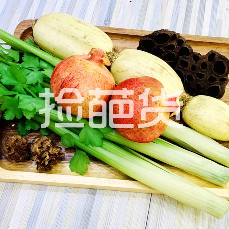 高仿真芹菜莲藕白菜笋装饰摆件逼真蔬菜模型家居餐厅橱窗摄影道具