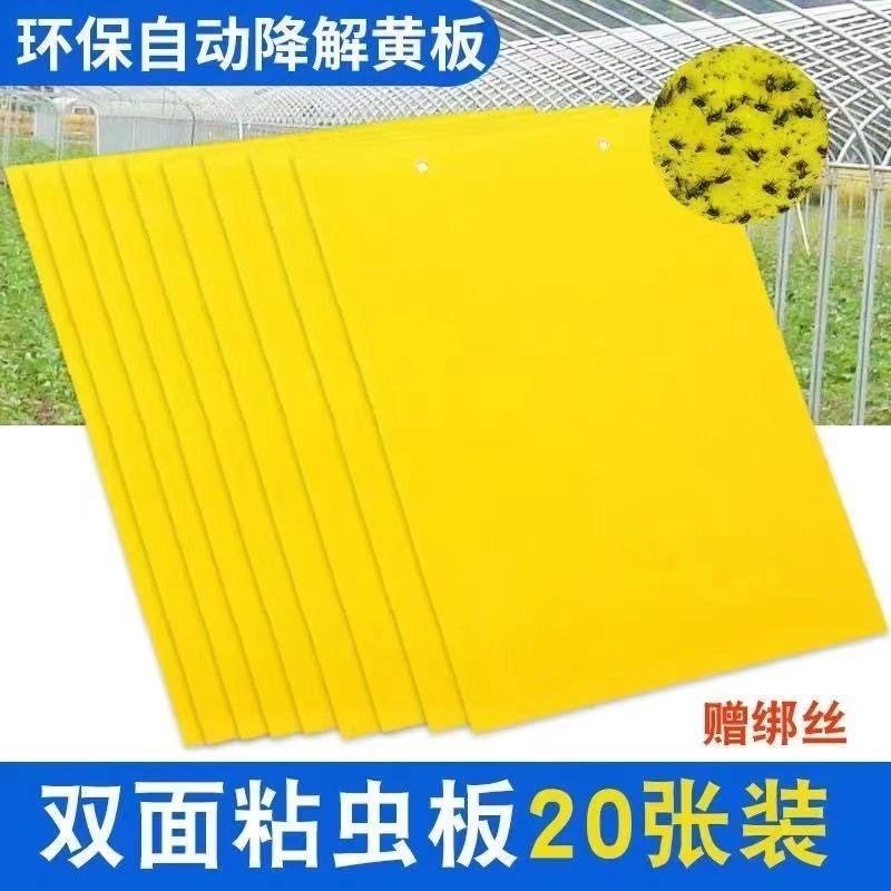 果树粘虫板黄板双面粘虫大棚专用蓟马小黑飞克星诱虫板,居家日用,粘蝇纸,淘宝优惠券,粉丝福利购,淘宝优惠卷