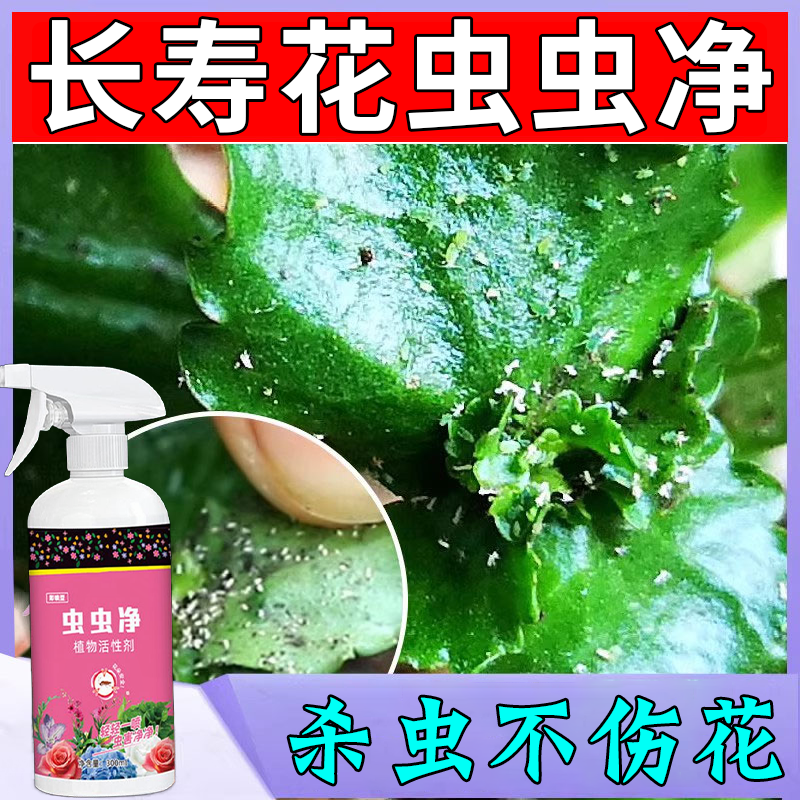 拍一发四虫虫净喷雾剂植物花卉蚜虫红蜘蛛蚧壳虫免稀释防虫驱虫