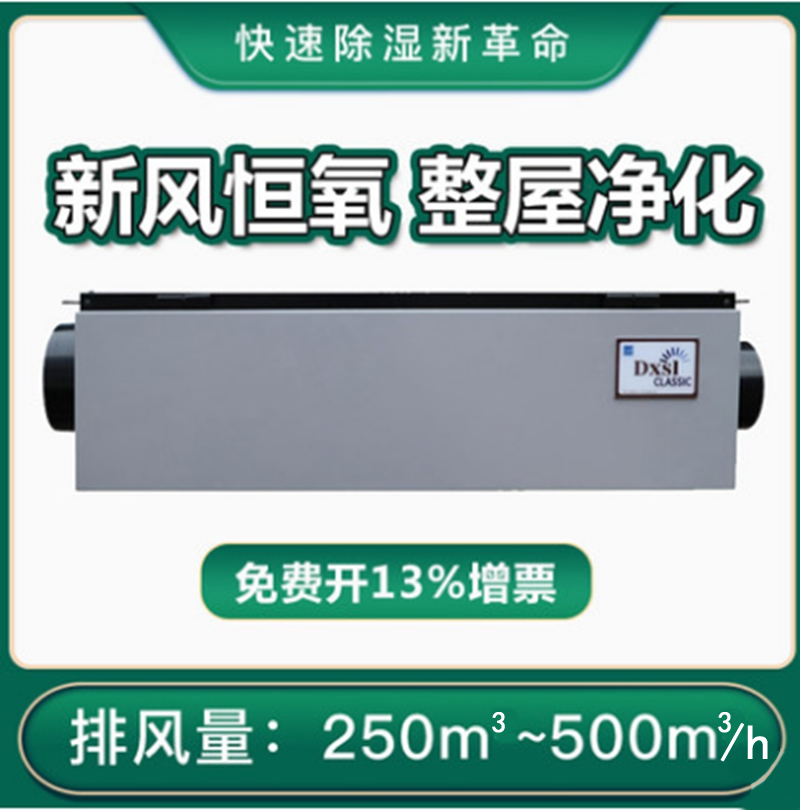 德西森立净化抽湿机大功率