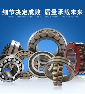 双排滚珠轴承22218 22219 22220 22222 22224 22226 22228CAKW33