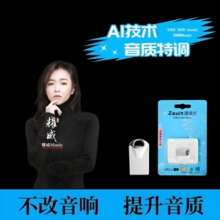 张玮伽专辑歌曲优盘无损经典HIFI发烧女声高音质车用音乐U盘mp3