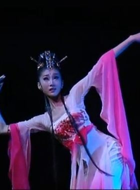 古典舞桃李杯演出服饰