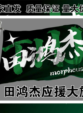 田鸿杰应援大旗明星演唱会手持大旗户外音乐节歌手旗帜定制可代发