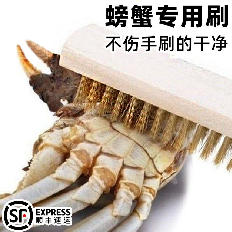 刷螃蟹的刷子小龙虾螃蟹钢丝刷清洗刷海鲜不锈钢丝厨房清洁大闸蟹,家庭/个人清洁工具,厨房用刷,淘宝优惠券,粉丝福利购,淘宝优惠卷