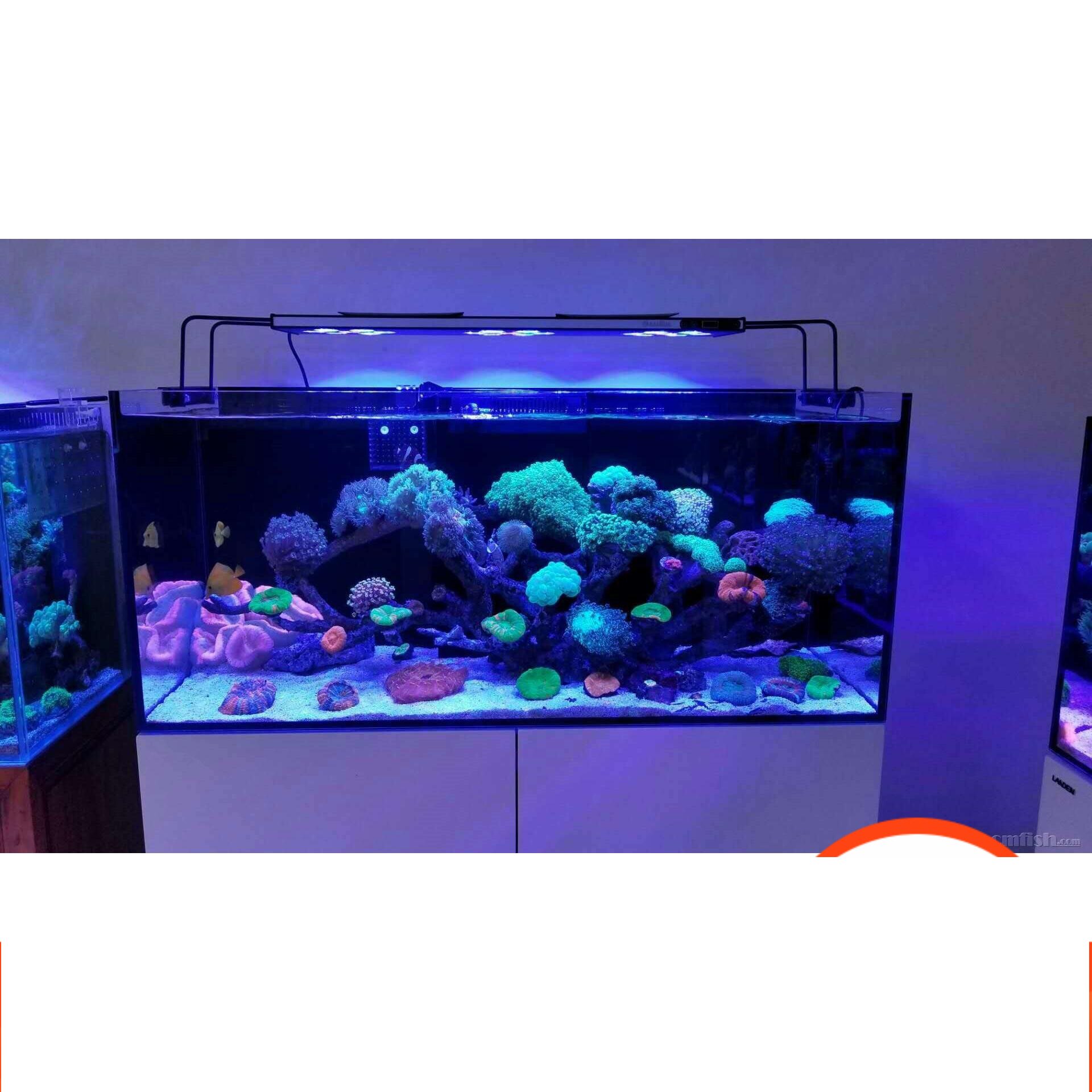 包邮尚爱思光捷wifi式控制海水珊瑚缸LED海水珊瑚灯M60/M90/M120