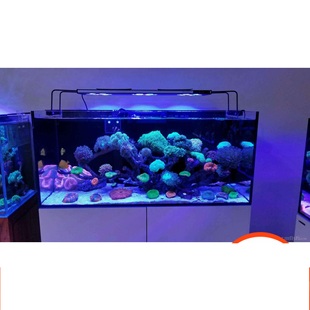 M90 控制海水珊瑚缸LED海水珊瑚灯M60 尚爱思光捷wifi式 M120 包邮