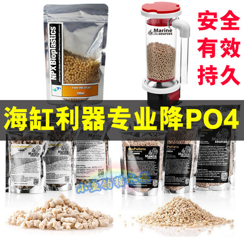 海之源两只小鱼豆海水鱼缸生物豆